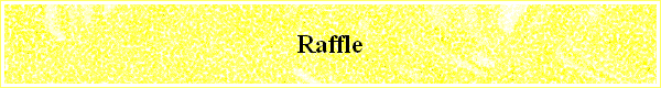  Raffle 