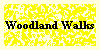  Woodland Walks 
